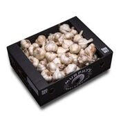 1kg Premium NZ Garlic Foodies Pack